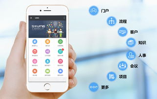 上海互聯(lián)網(wǎng)軟件集團 高端協(xié)同管理軟件與安全服務(wù)解決方案